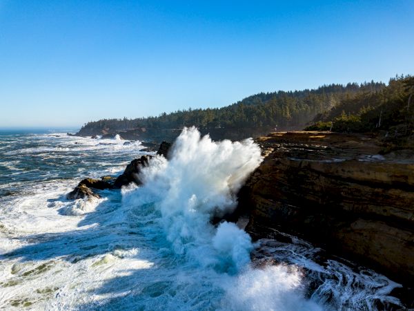 Quality Inn & Suites at Coos Bay