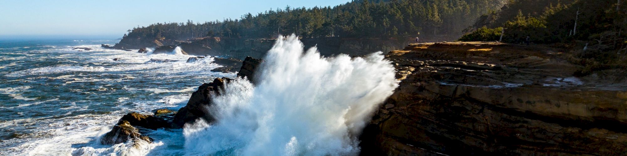 Quality Inn & Suites at Coos Bay
