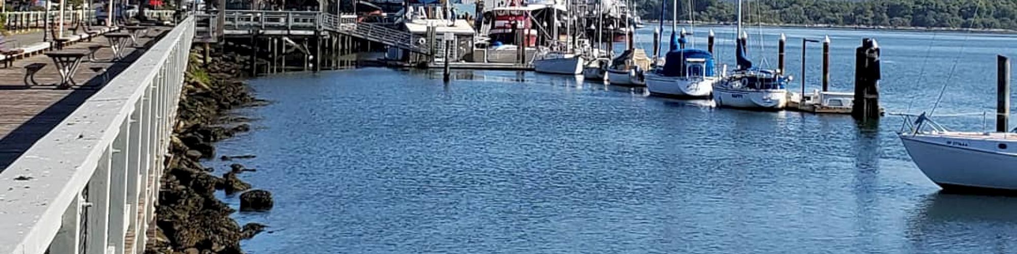 Quality Inn & Suites at Coos Bay