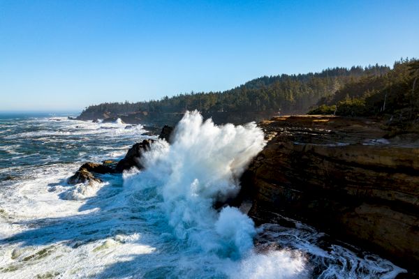 Quality Inn & Suites at Coos Bay